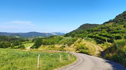 Women Ride Slovenië 