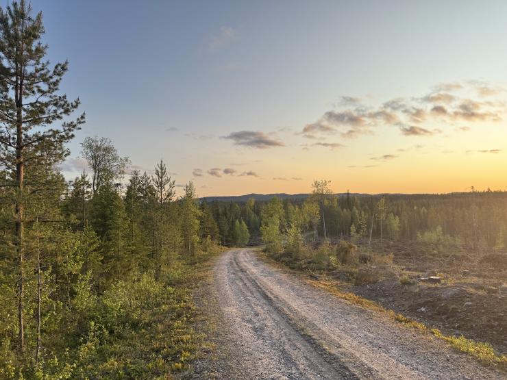 Gravel Lapland Finland Bidong 