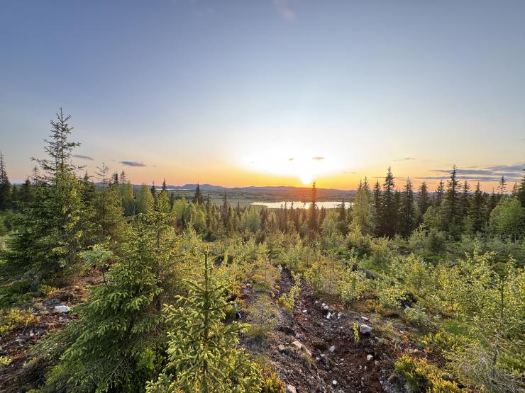 Gravel Lapland Finland Bidong 